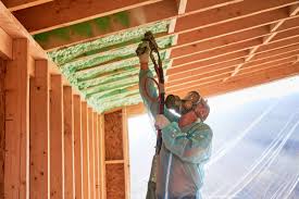 Best Commercial Insulation Services  in Somerset, WI