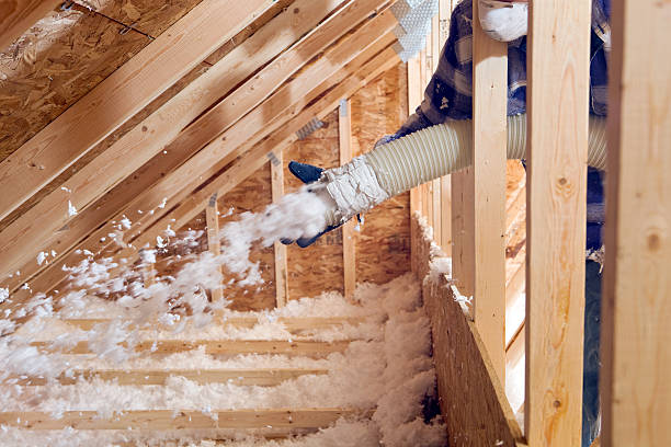 Best Basement Insulation  in Somerset, WI